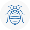 Bed Bug Extermination In Aldershot